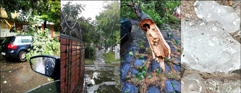 Braila, dupa furtuna si grindina: zeci de copaci cazuti, masini ...